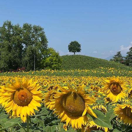 Borghetto San Biagio Relais Agriturismo Bed & Breakfast เตียเน ภายนอก รูปภาพ